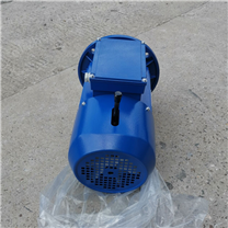 BMD紫光制動電機(jī)
