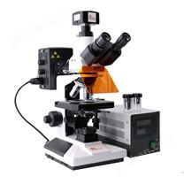 熒光顯微鏡 dg005