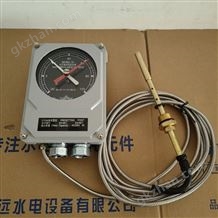 BWY-803A-802A(TH)溫度指示控制器