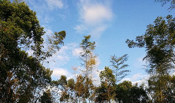 2025年度工业节能降碳标准研究项目清单（征求意见稿）