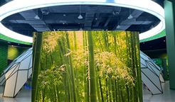 5个绿色建材下乡创新活动典型案例发布