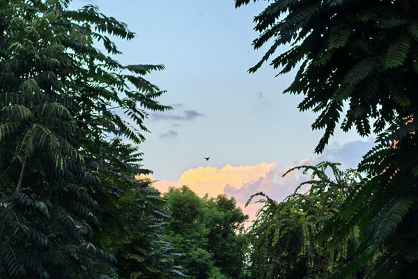 2026衛(wèi)星物聯(lián)網(wǎng)趨勢：安全升級，AI驅(qū)動