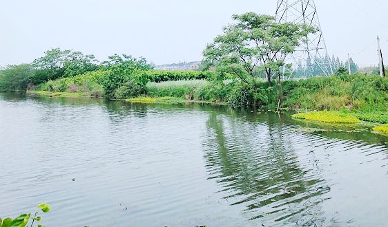 水利部等七部門聯合印發《關于加快推動小水電綠色轉型高質量發展的指導意見》