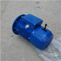 中研紫光BMD制動(dòng)電動(dòng)機(jī)