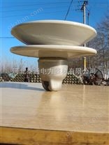 XWP1-100防污陶瓷絕緣子