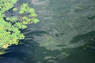 《生态环境监测条例》施行，这些责任企业必须扛牢