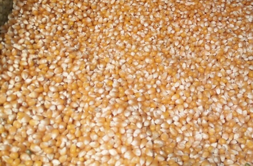 《浙江省农业农村厅等7部门关于促进粮油产业稳定发展的意见》的政策解读